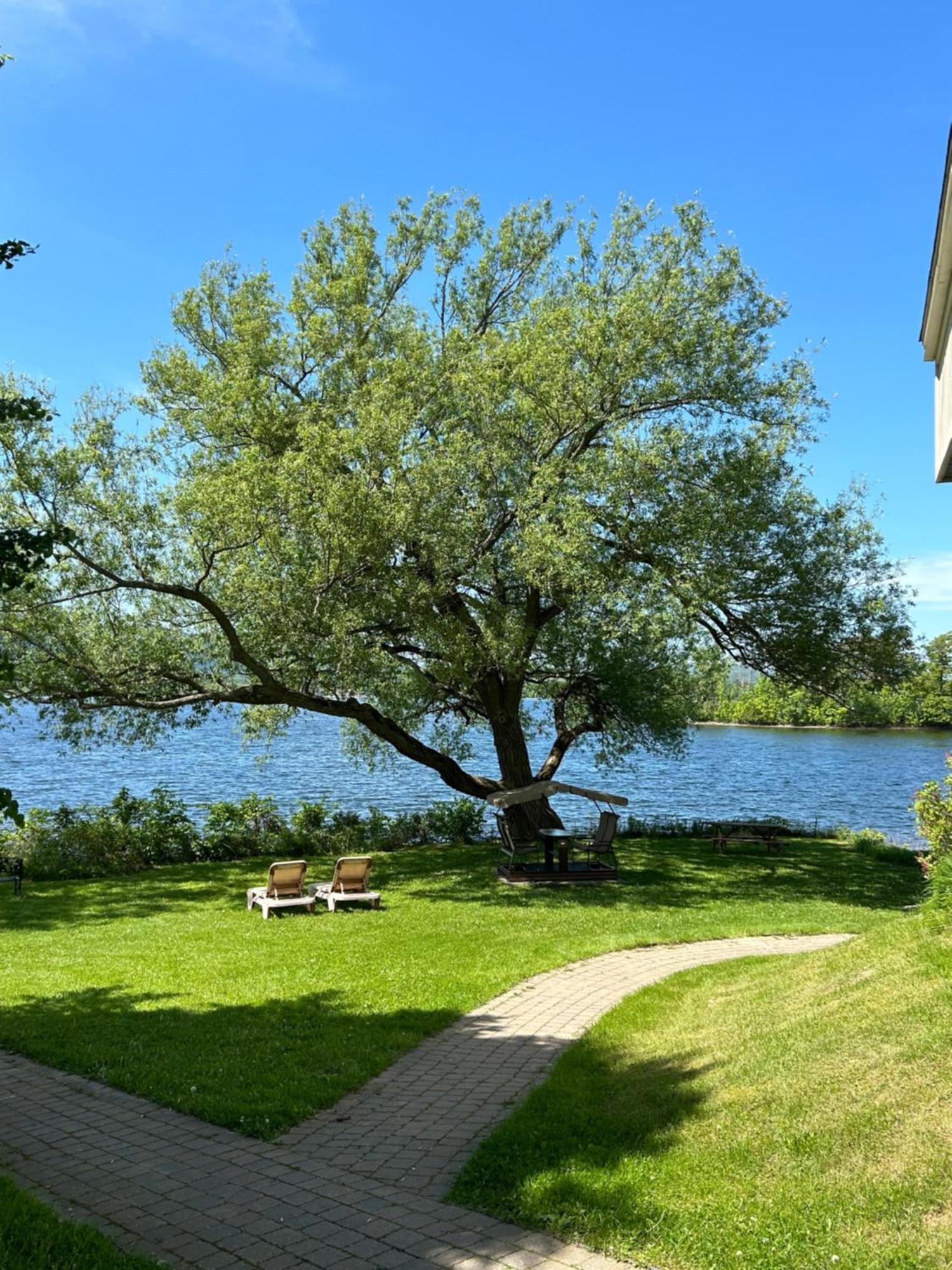 Au P'Tit Cocon Sur Le Lac Magog Exterior foto